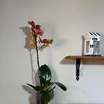 Apartman Casa Archi Cefalù
